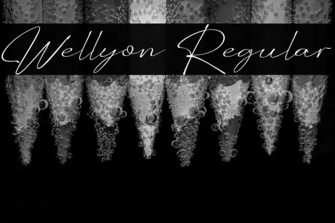 Wellyon Regular Fuentes examples