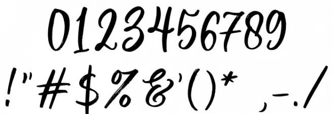 WellytoniaScriptDEMO Font OTHER CHARS