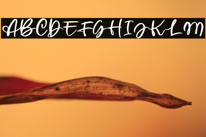 WellytoniaScriptDEMO Example 1