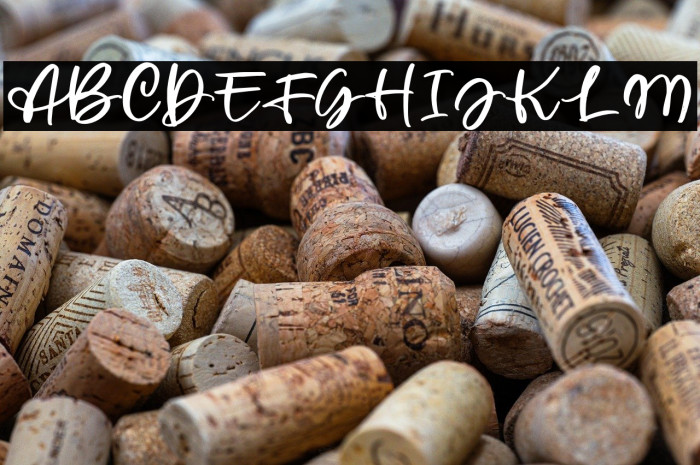 WellytoniaScriptDEMO Example 2