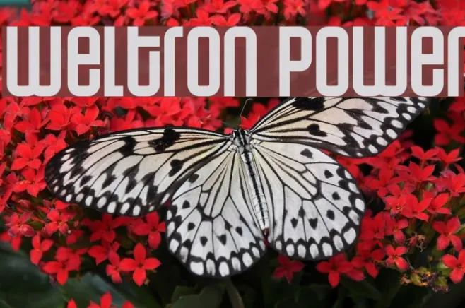 Weltron Power Example 1
