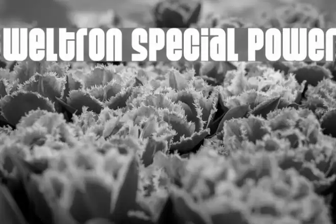 Weltron Special Power Font examples