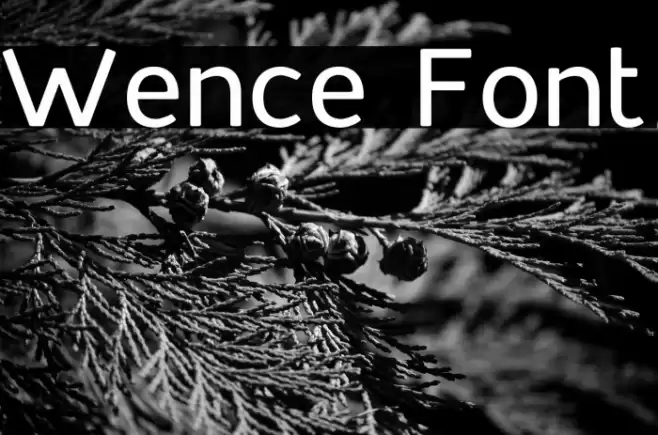 Wence Font examples