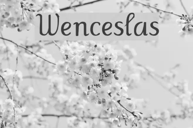 Wenceslas Font examples