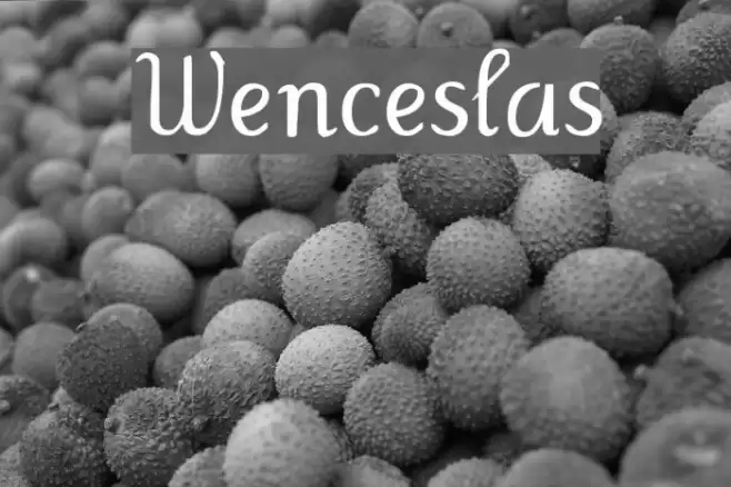 Wenceslas Font examples
