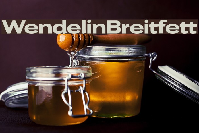 WendelinBreitfett フォント examples