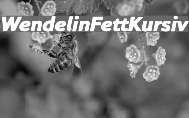 WendelinFettKursiv Font examples