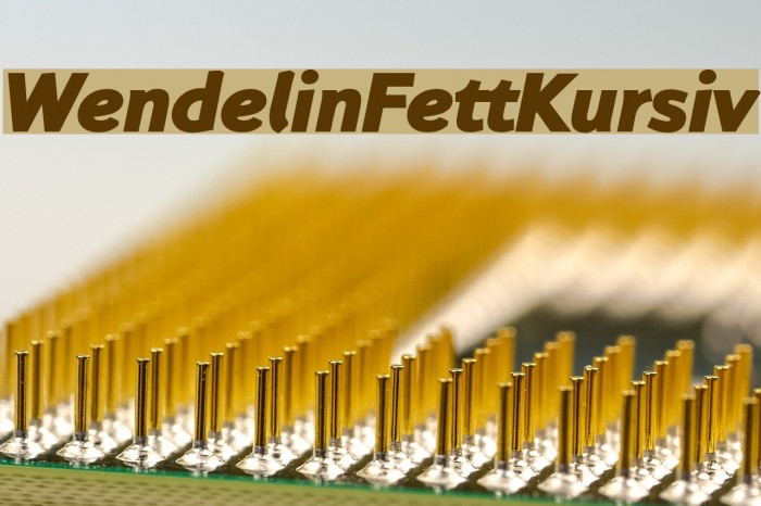 WendelinFettKursiv Font examples