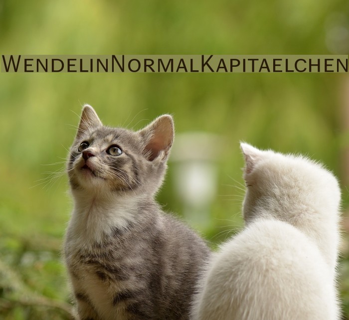 WendelinNormalKapitaelchen Font examples