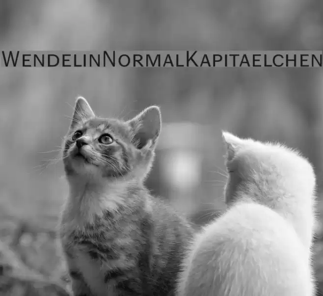 WendelinNormalKapitaelchen Schriftart examples