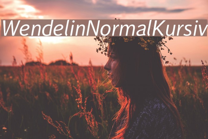 WendelinNormalKursiv Font examples