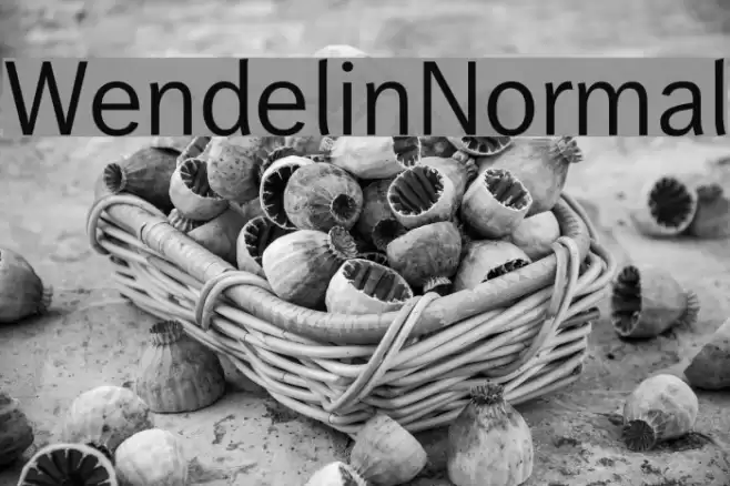 WendelinNormal Font examples