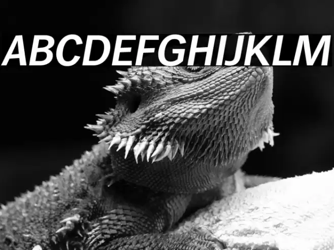 WendelinReduced-BoldItalic Font examples