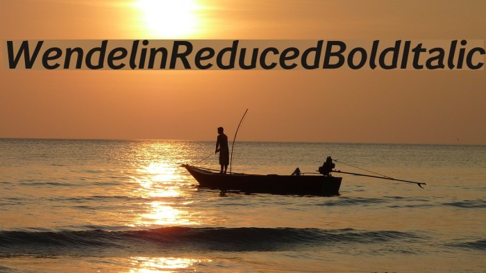 WendelinReduced-BoldItalic Example 1
