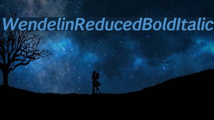 WendelinReduced-BoldItalic Example 2