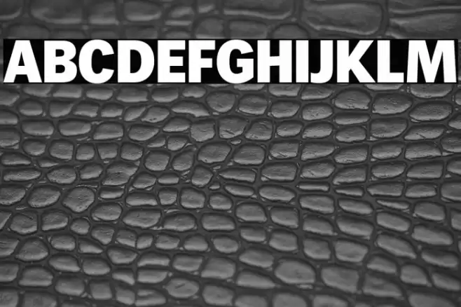 WendelinReduced-Fett Font examples