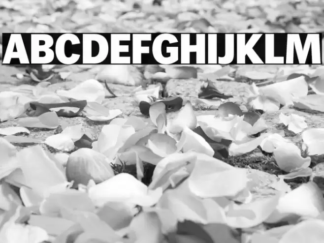 WendelinReduced-Fett Font examples