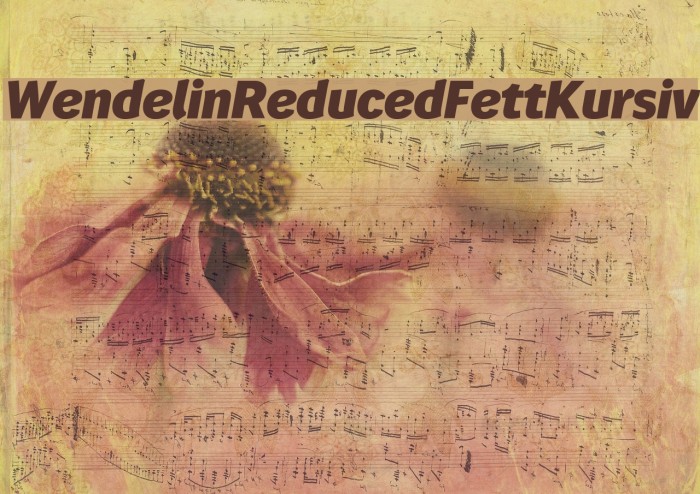 WendelinReduced-FettKursiv Example 3