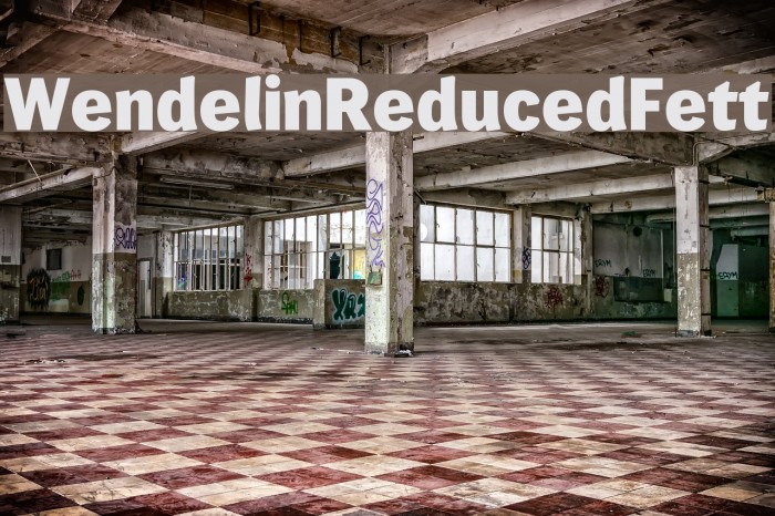 WendelinReduced-Fett Example 1