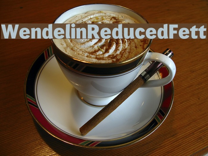 WendelinReduced-Fett Example 3