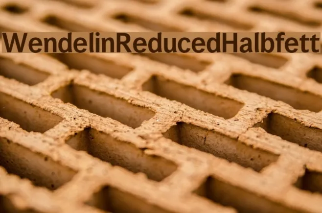 WendelinReduced-Halbfett Example 2