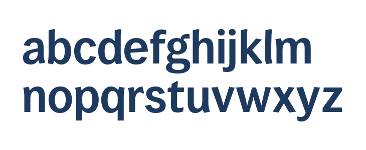 WendelinReduced-Halbfett Lowercase