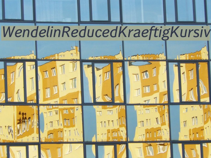 WendelinReduced-KraeftigKursiv Example 1