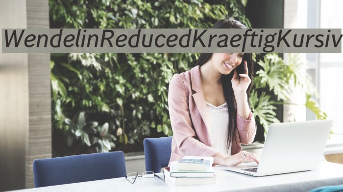 WendelinReduced-KraeftigKursiv Example 2