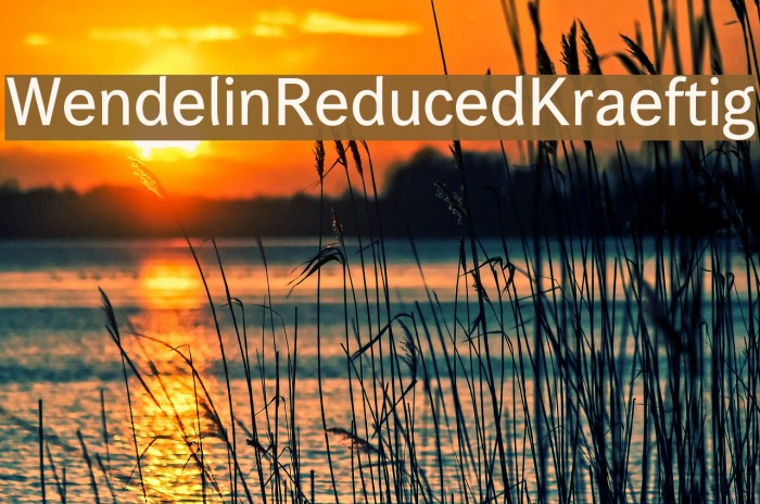 WendelinReduced-Kraeftig Example 1