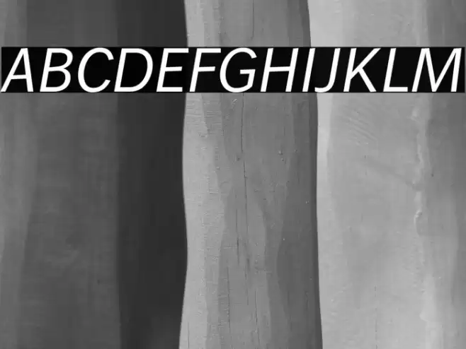 WendelinReduced-Kursiv Font examples