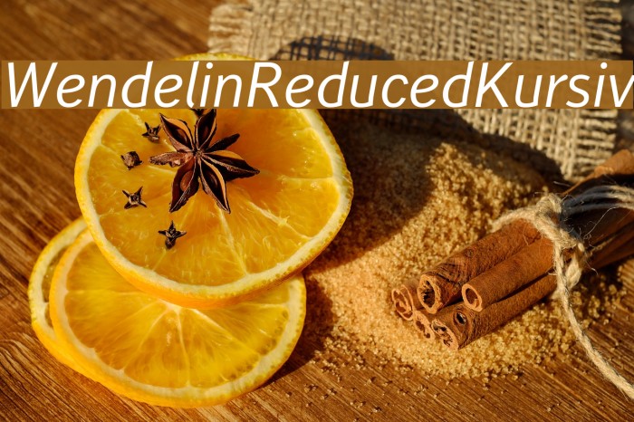 WendelinReduced-Kursiv Example 1