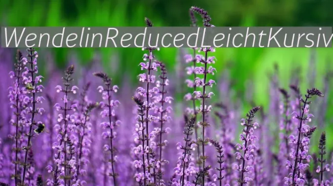 WendelinReduced-LeichtKursiv Example 1