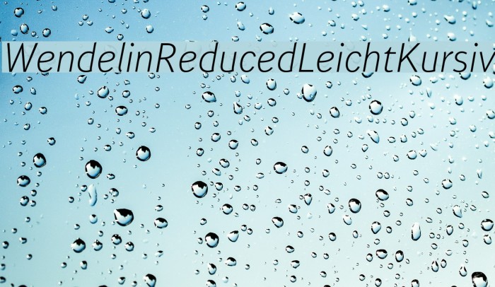 WendelinReduced-LeichtKursiv Example 2