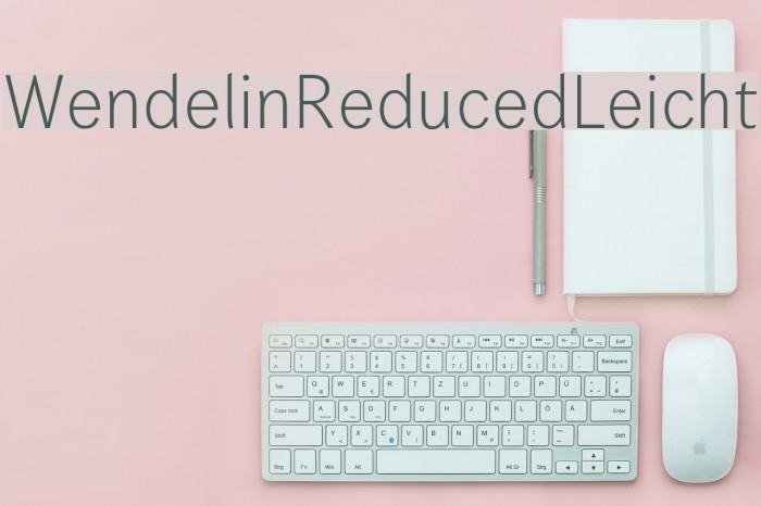 WendelinReduced-Leicht Example 2