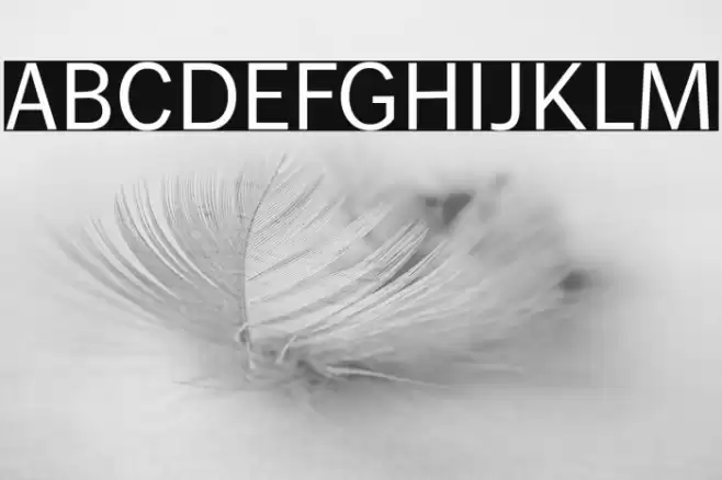 WendelinReduced-Normal Font examples