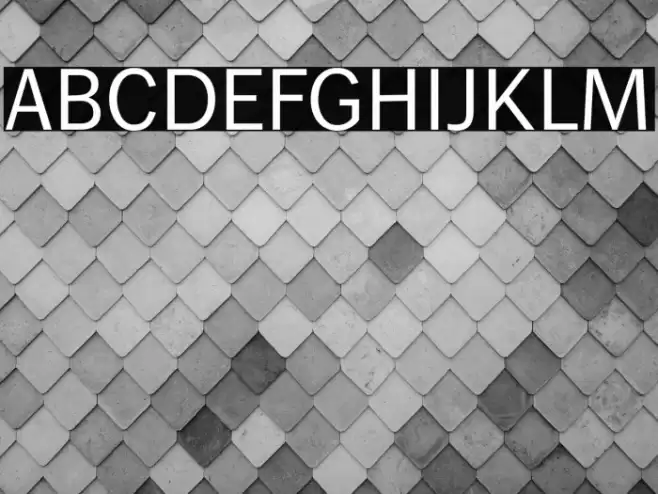 WendelinReduced-Normal Font examples