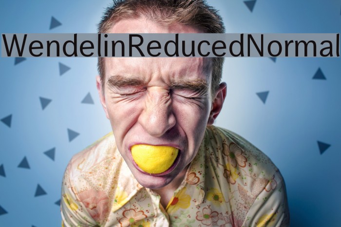 WendelinReduced-Normal Example 3