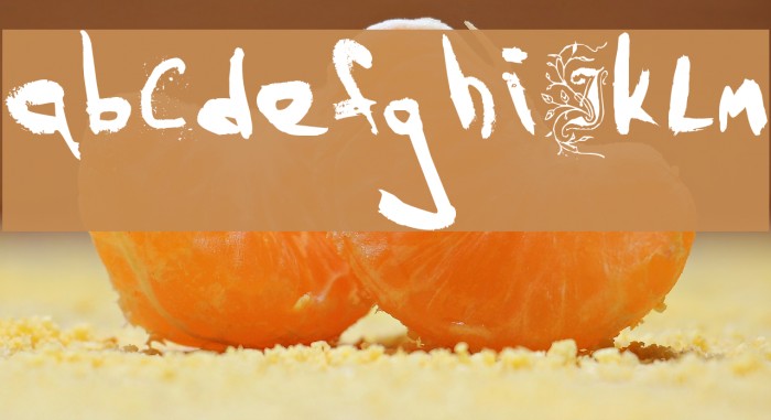 Wendus Font examples