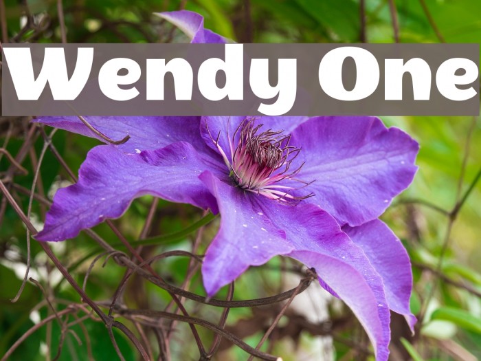 Wendy One Font examples