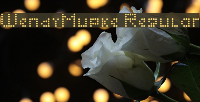 WendyMupke Regular Font examples