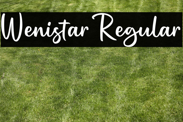 Wenistar Regular Example 3