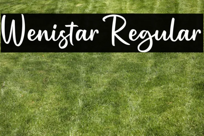 Wenistar Regular Example 3