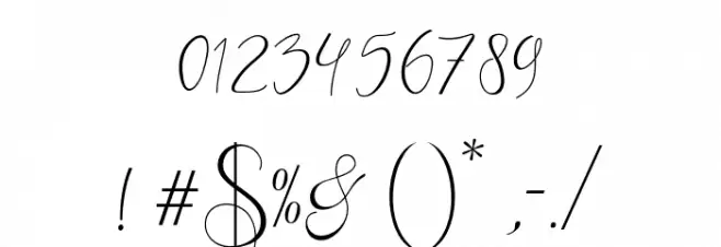 Wennyscript Font OTHER CHARS