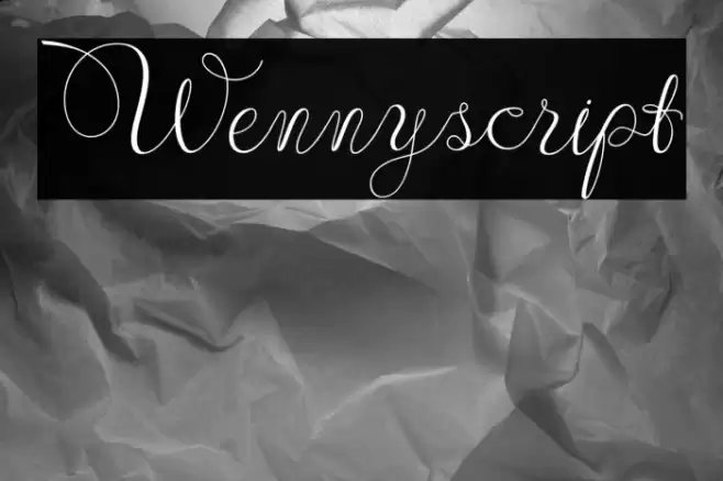 Wennyscript Font examples