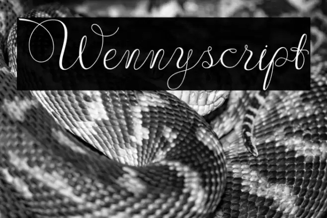 Wennyscript Font examples