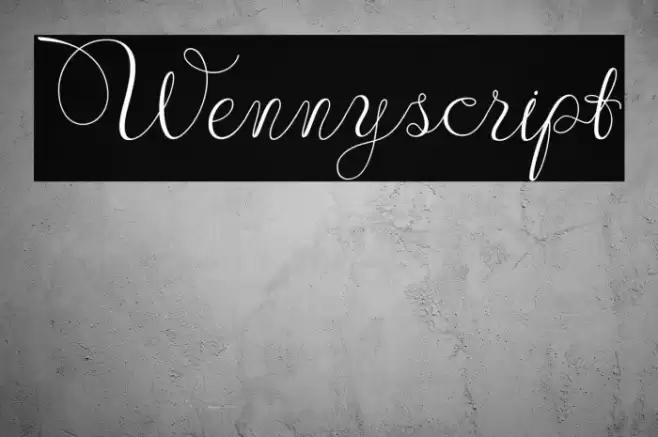 Wennyscript Font examples
