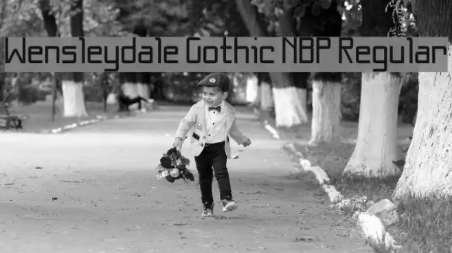 Wensleydale Gothic NBP Regular Font examples