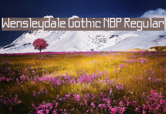 Wensleydale Gothic NBP Regular Example 2