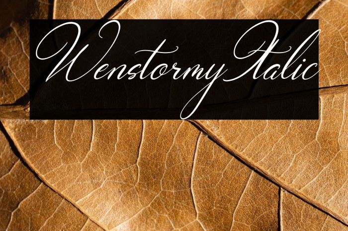 Wenstormy Italic Example 2