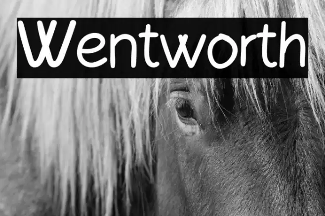 Wentworth Polices examples